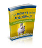 Thumbnail PLR The Money In The Follow-Up Thumbnail PLR The Money In The Follow-Up